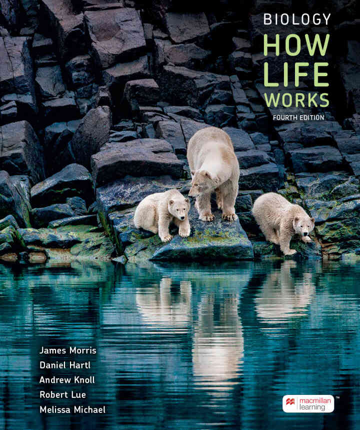 Biology: How Life Works, 4th Edition