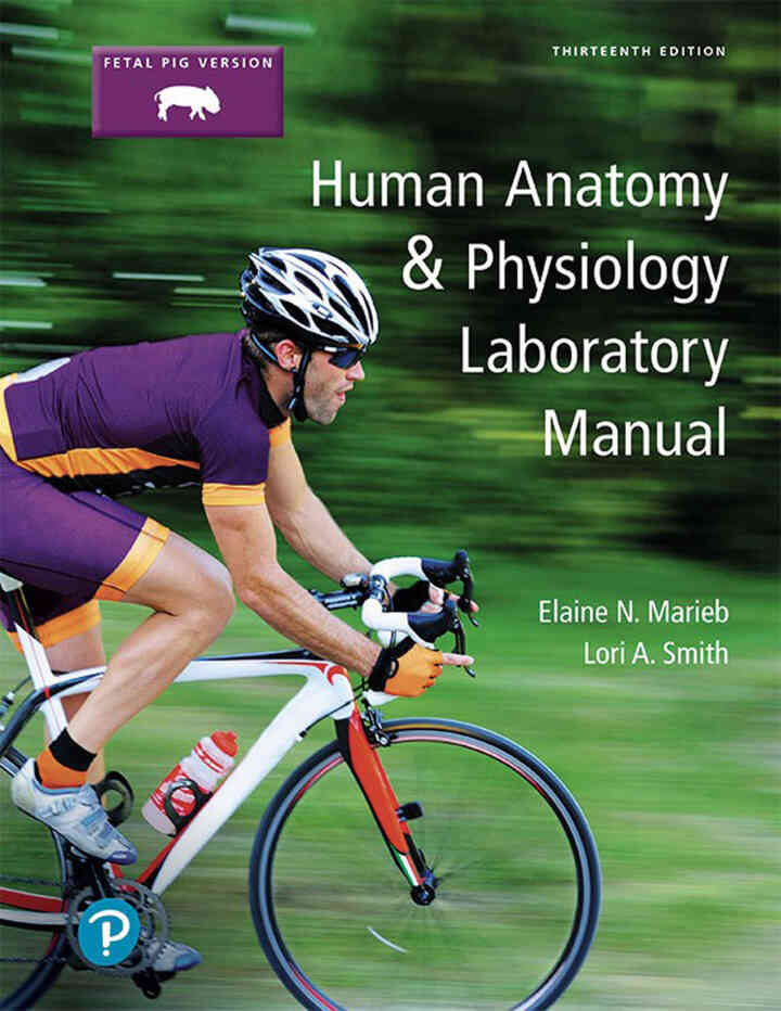 Human Anatomy & Physiology Laboratory Manual, Fetal Pig Version, 13th Edition